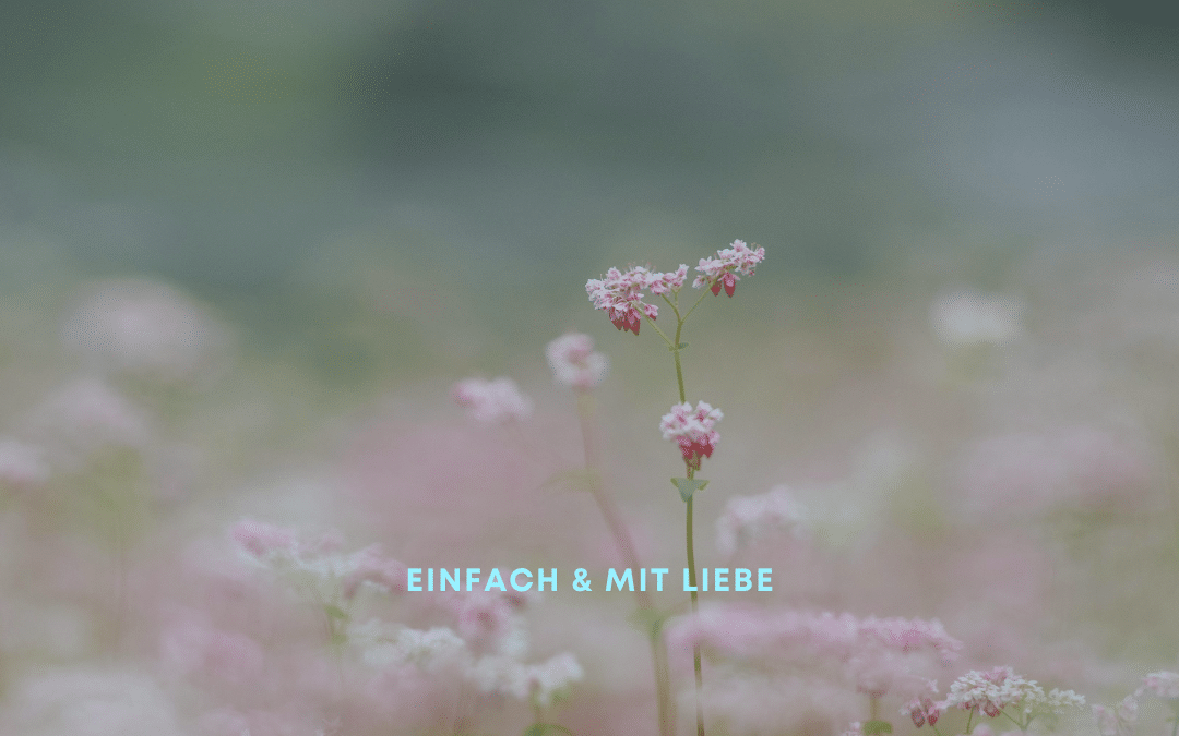 Samen säen im September? Neubeginn.